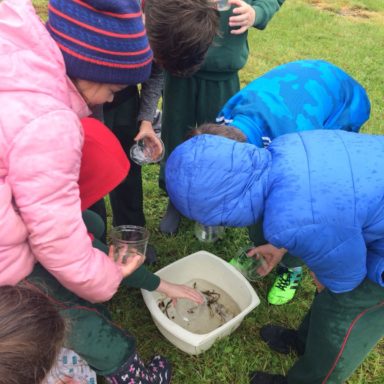 d818fff4-ae94-4557-84e3-a9ea6bb4fdbb